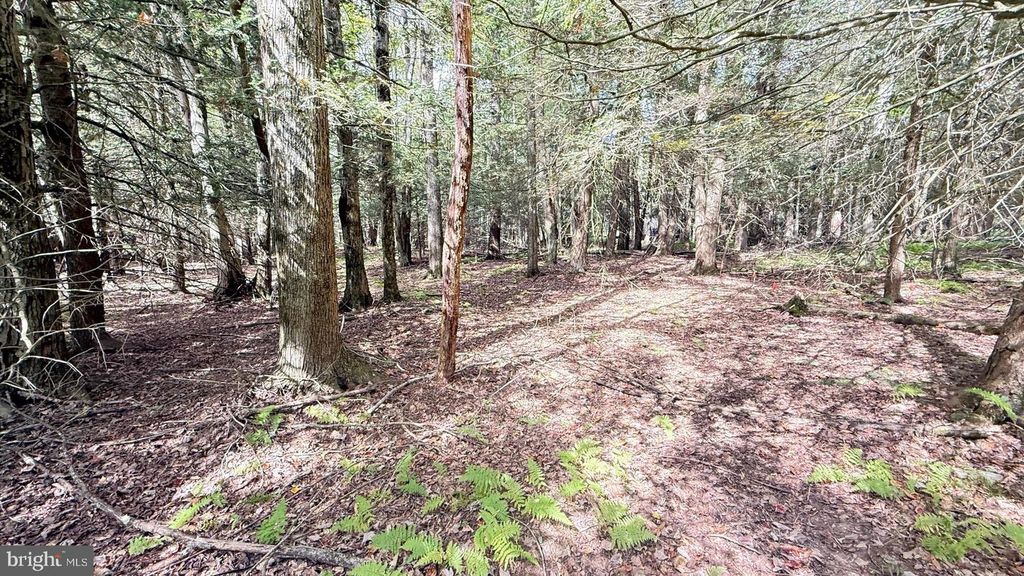 Image 1 of property listing at 211 AQUARIS LN, Lake Ariel, PA 18436