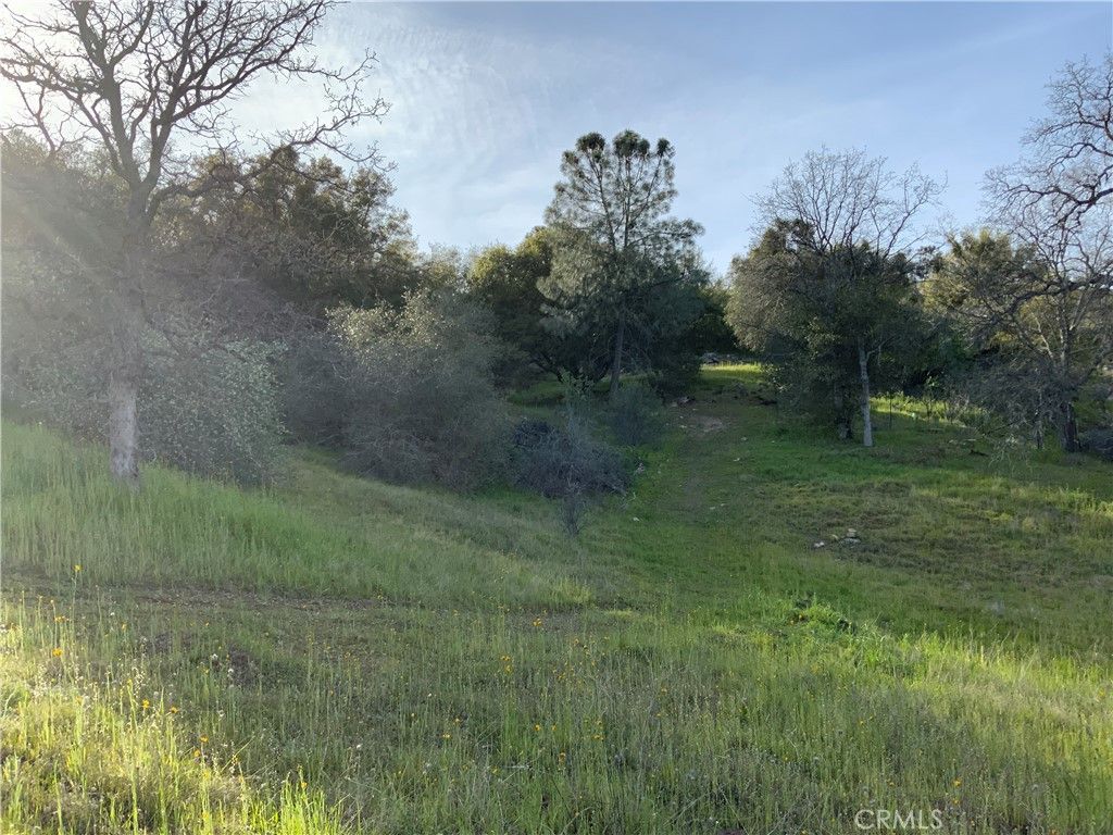 Image 14 of property listing at 0 5.36 Acres N. Dome Drive, Coarsegold, CA 93614