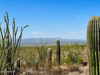 5593 N Park Ridge Place, Tucson, AZ 85743