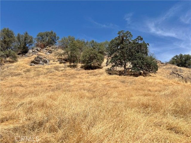 37180 Mistletoe Road, Squaw Valley, CA 93675