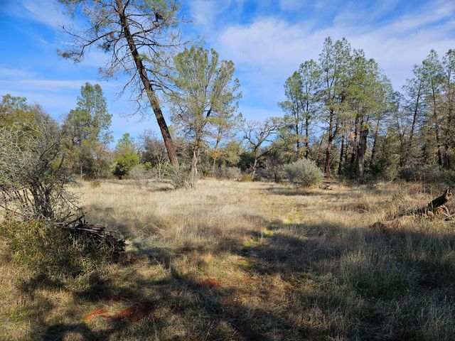 42 acres Ash Creek Road, Anderson, CA 96007