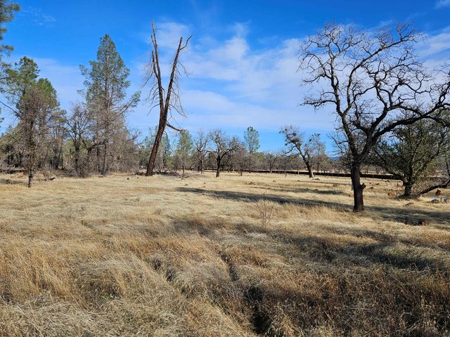 42 acres Ash Creek Road, Anderson, CA 96007