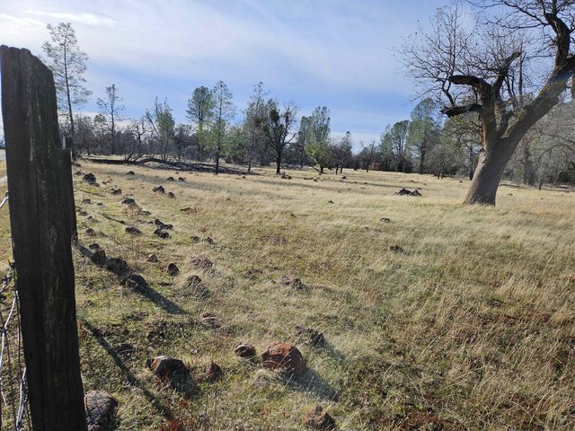 42 acres Ash Creek Road, Anderson, CA 96007