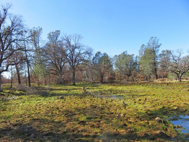 42 acres Ash Creek Road, Anderson, CA 96007