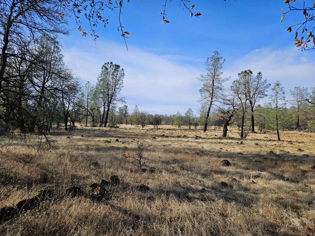 42 acres Ash Creek Road, Anderson, CA 96007