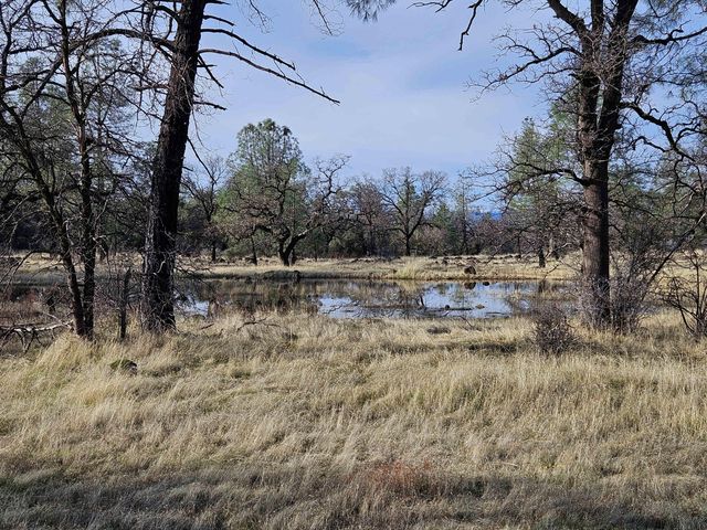 42 acres Ash Creek Road, Anderson, CA 96007