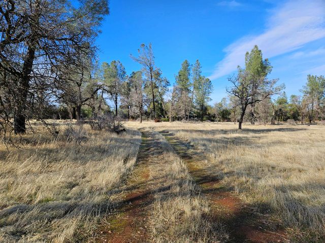 42 acres Ash Creek Road, Anderson, CA 96007