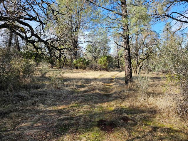 42 acres Ash Creek Road, Anderson, CA 96007