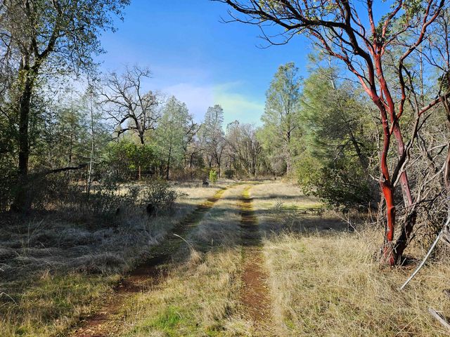 42 acres Ash Creek Road, Anderson, CA 96007