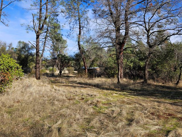 42 acres Ash Creek Road, Anderson, CA 96007