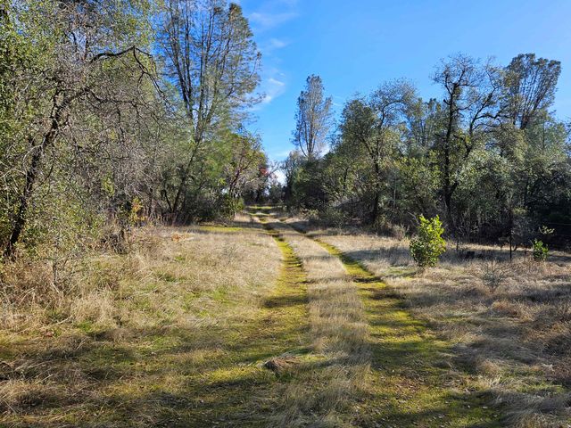 42 acres Ash Creek Road, Anderson, CA 96007