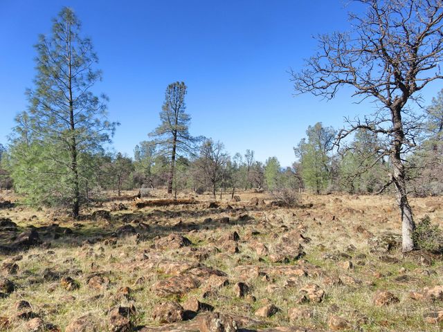 42 acres Ash Creek Road, Anderson, CA 96007