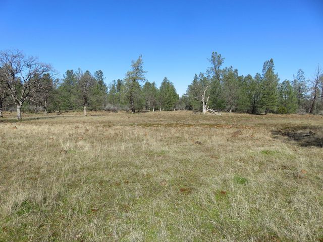 42 acres Ash Creek Road, Anderson, CA 96007
