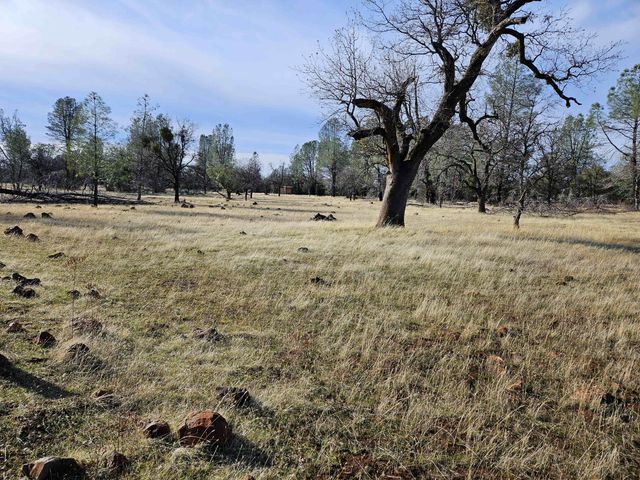 42 acres Ash Creek Road, Anderson, CA 96007