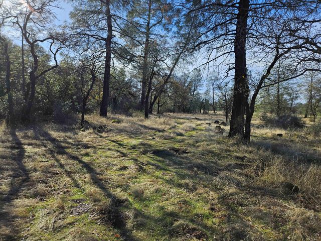 42 acres Ash Creek Road, Anderson, CA 96007