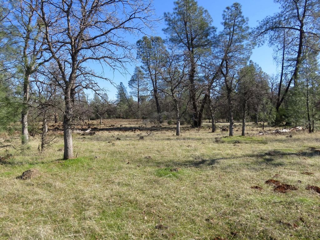 42 acres Ash Creek Road, Anderson, CA 96007