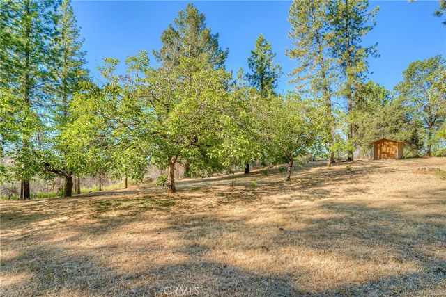 110 Black Bear Road, Berry Creek, CA 95916