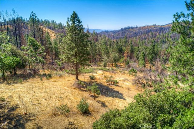 110 Black Bear Road, Berry Creek, CA 95916