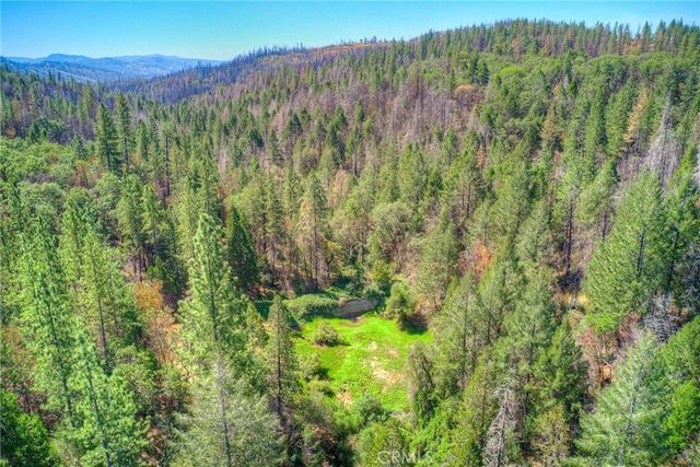 110 Black Bear Road, Berry Creek, CA 95916