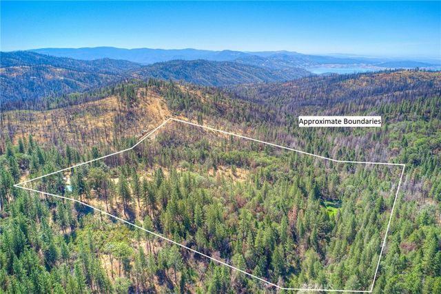 110 Black Bear Road, Berry Creek, CA 95916