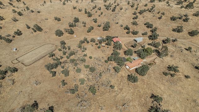 22085 Watts Valley Road, Sanger, CA 93657