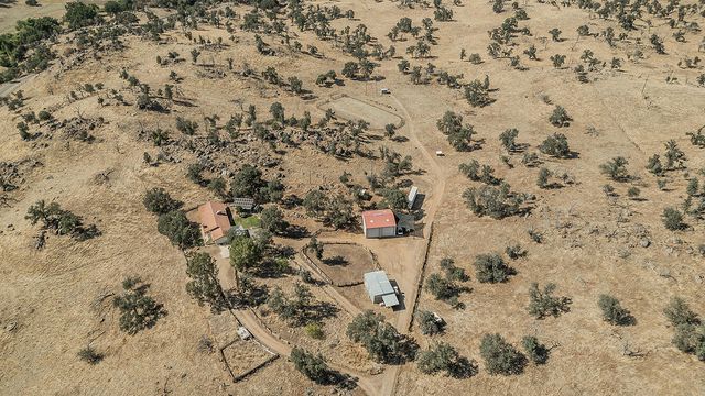 22085 Watts Valley Road, Sanger, CA 93657