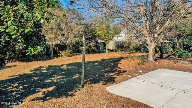 159 Emerald Ridge Drive, Hampstead, NC 28443