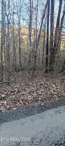 Braden Chapel Rd, Speedwell, TN 37870