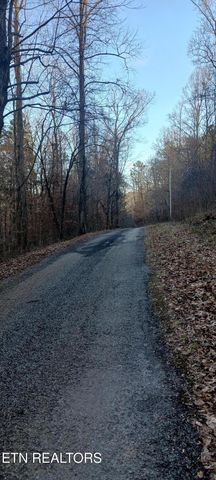 Braden Chapel Rd, Speedwell, TN 37870