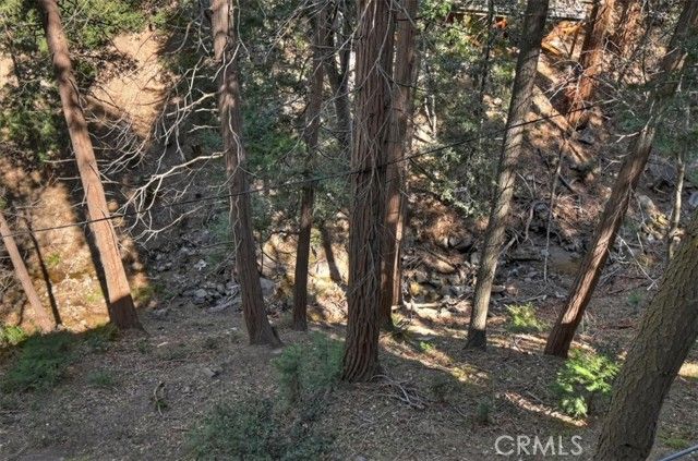 948 Arbula, Crestline, CA 92325