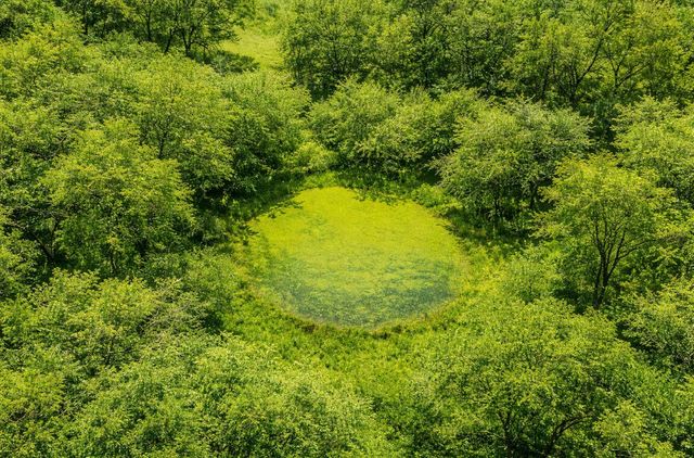 1029 FM 2114, Aquilla, TX 76622