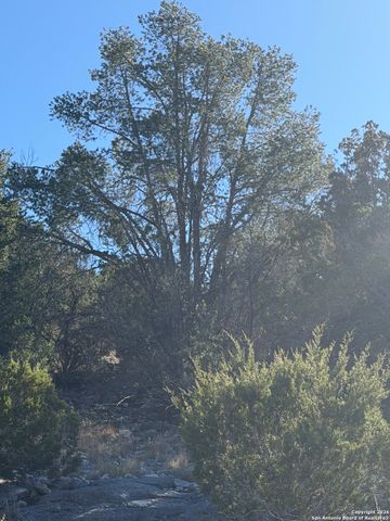 TBD Hegedus Ranch Rd, Rocksprings, TX 78880