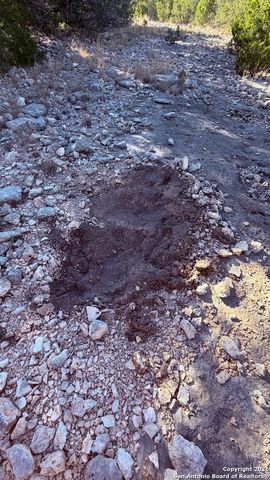 TBD Hegedus Ranch Rd, Rocksprings, TX 78880