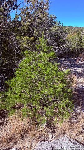 TBD Hegedus Ranch Rd, Rocksprings, TX 78880