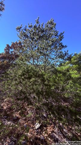 TBD Hegedus Ranch Rd, Rocksprings, TX 78880