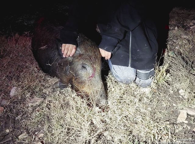 TBD Hegedus Ranch Rd, Rocksprings, TX 78880