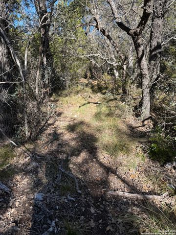 TBD Hegedus Ranch Rd, Rocksprings, TX 78880