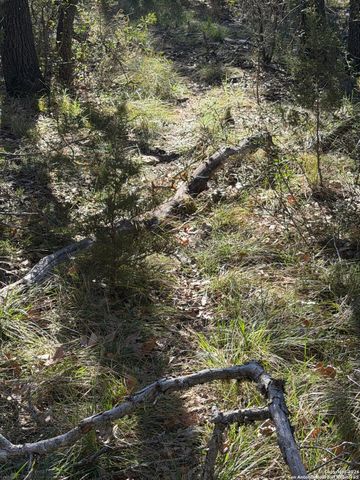 TBD Hegedus Ranch Rd, Rocksprings, TX 78880