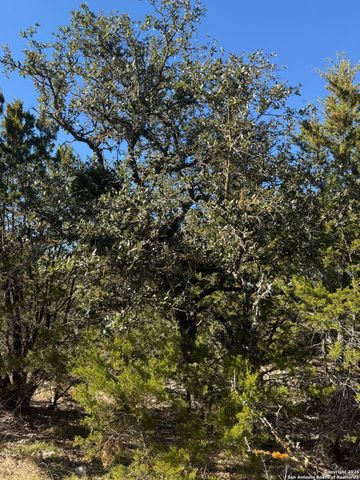 TBD Hegedus Ranch Rd, Rocksprings, TX 78880