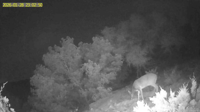 TBD Hegedus Ranch Rd, Rocksprings, TX 78880