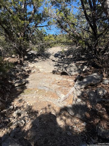 TBD Hegedus Ranch Rd, Rocksprings, TX 78880