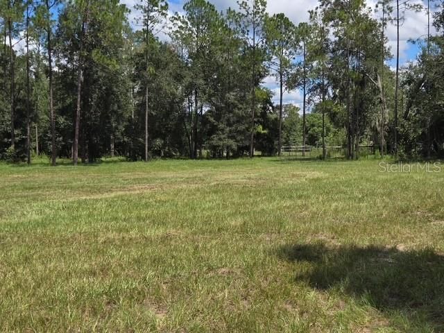 18505 HOLLOWAY LANE, Dade City, FL 33523