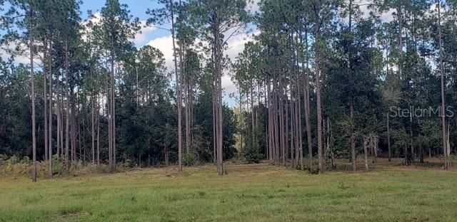 18505 HOLLOWAY LANE, Dade City, FL 33523