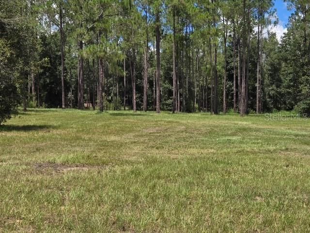 18505 HOLLOWAY LANE, Dade City, FL 33523
