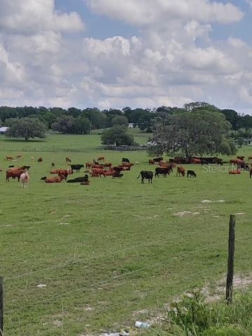 18505 HOLLOWAY LANE, Dade City, FL 33523