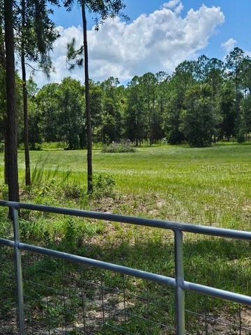 18505 HOLLOWAY LANE, Dade City, FL 33523