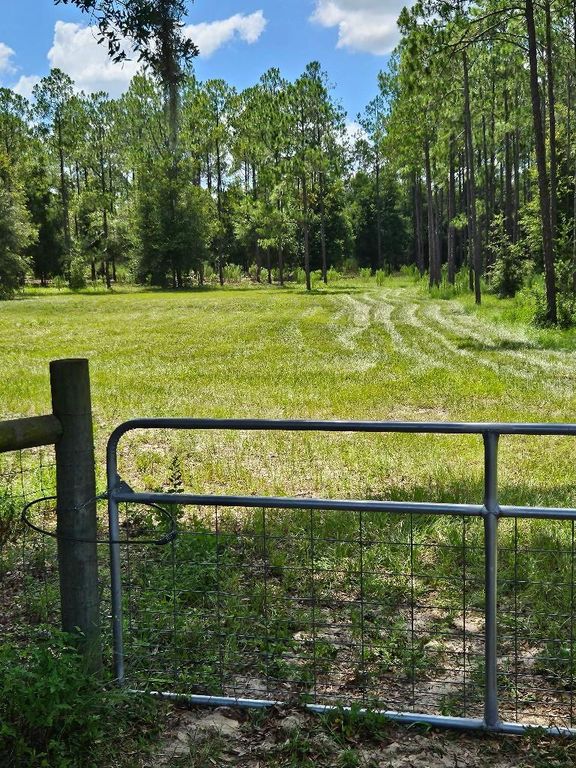 18505 HOLLOWAY LANE, Dade City, FL 33523