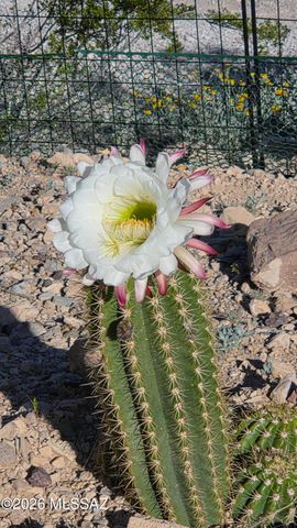 15680 E Colossal Cave Road, Vail, AZ 85641