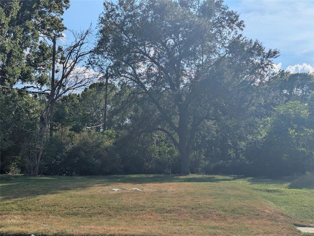 10506 Bassoon, Houston, TX 77025