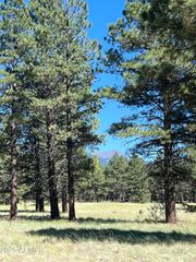 0 Forest Road 193 Street 0, Flagstaff, AZ 86001